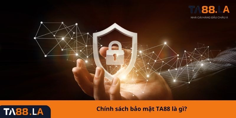 Chính sách bảo mật TA88 là gì?