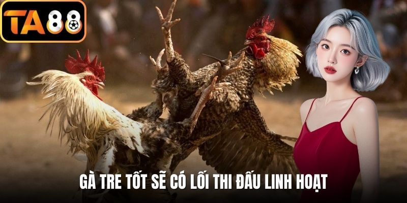 Gà tre tốt sẽ có lối thi đấu linh hoạt